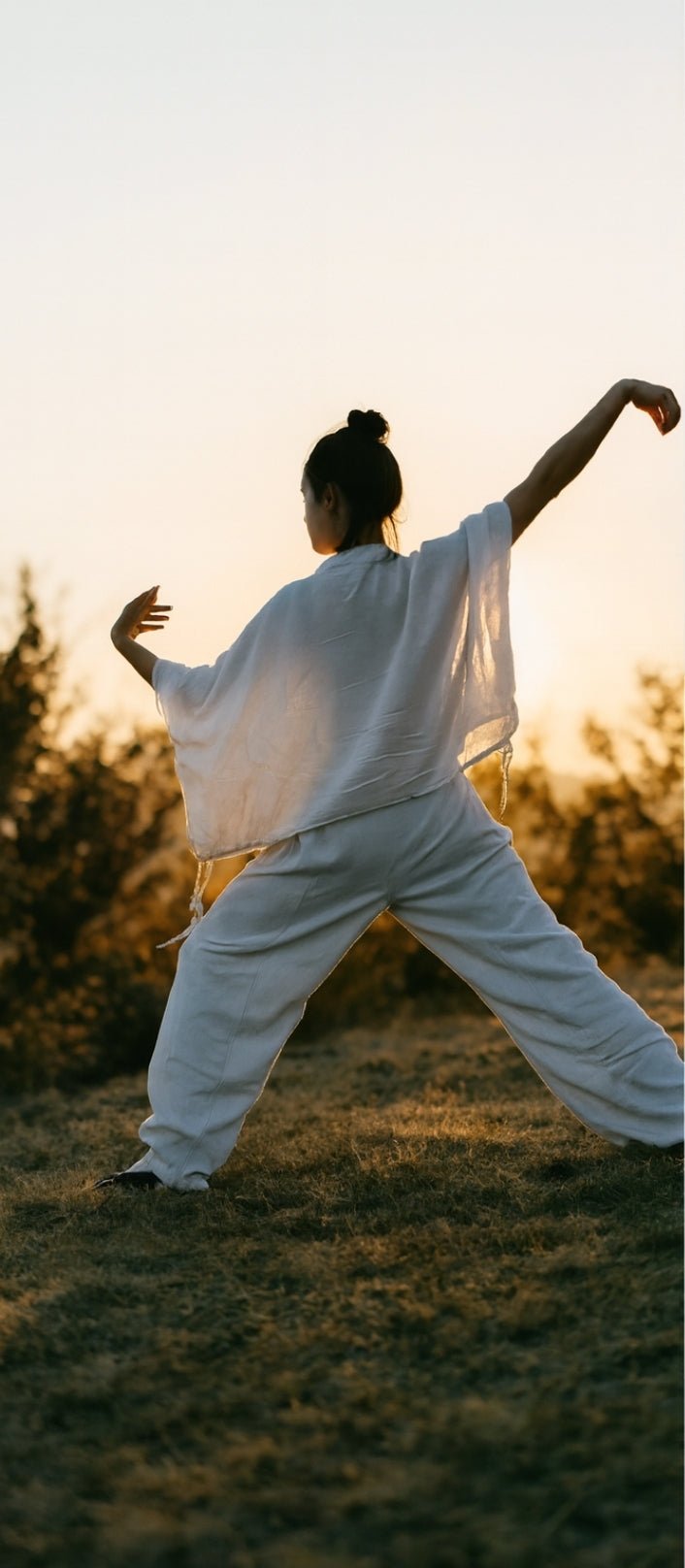 Formation professoral Qigong Bloc 1 de 100 heures - Centre Kaivalya