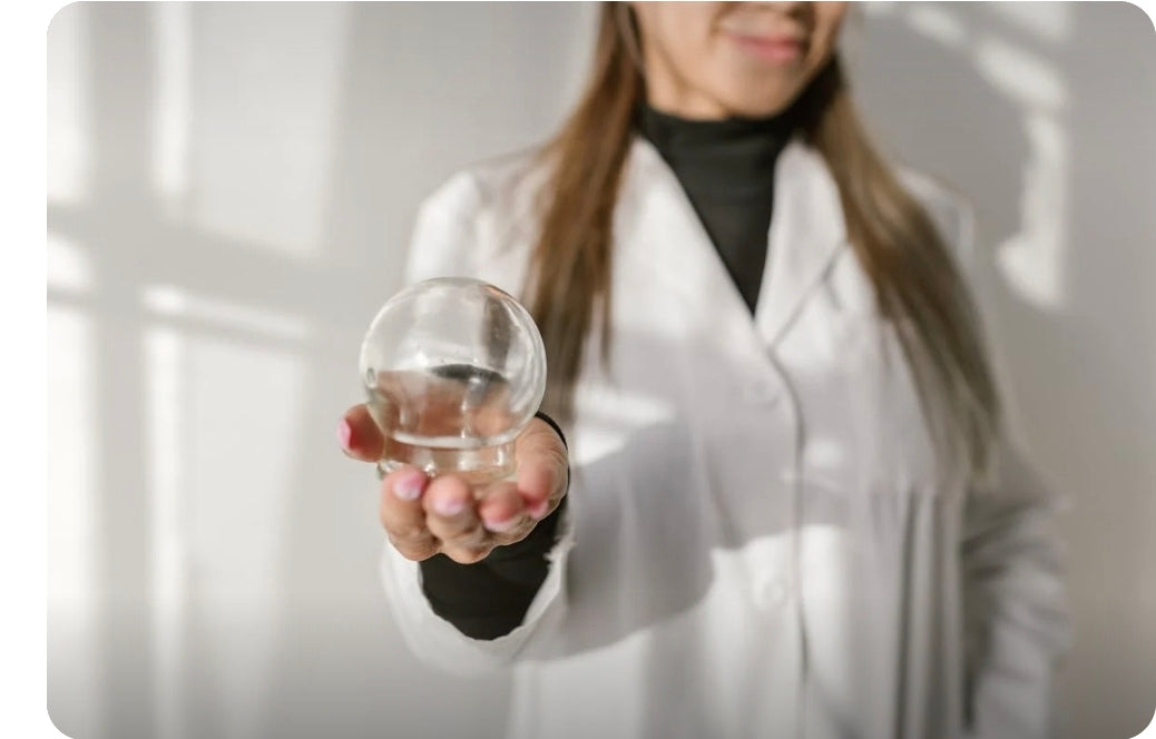 Programme de formation professionnelle