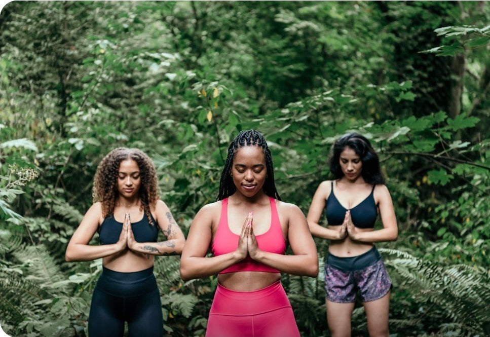 Stages-Tarifs avantageux     cours à la carte