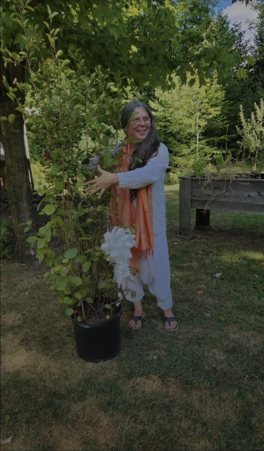 coaching & soins Holistiques